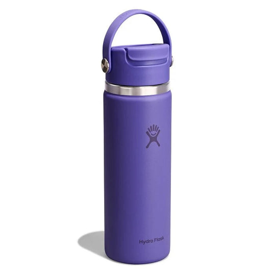 20 oz Flip Sip Travel Mug - US 8569