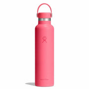 Popstar Pink